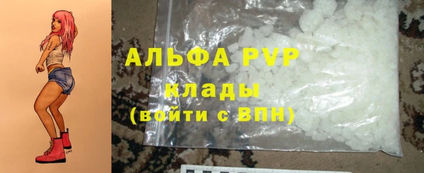 амф Бородино