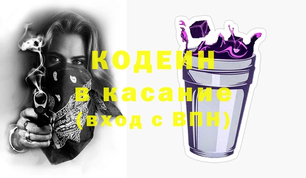 амф Бородино