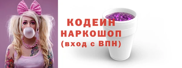 амф Бородино