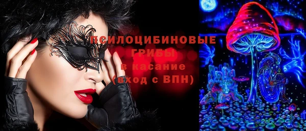 амф Бородино