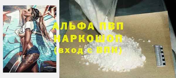 амф Бородино