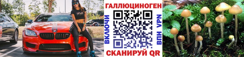 Псилоцибиновые грибы GOLDEN TEACHER  МЕГА   Гулькевичи 